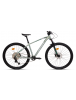CARRARO DAYTONA 912 29" 12V HD DAĞ BİSİKLETİ