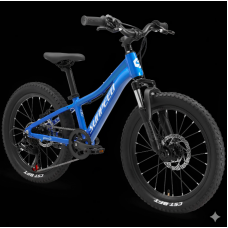 SUNPEED YOUTH 20" ÇOCUK BİSİKLETİ 7 VİTES MD FREN