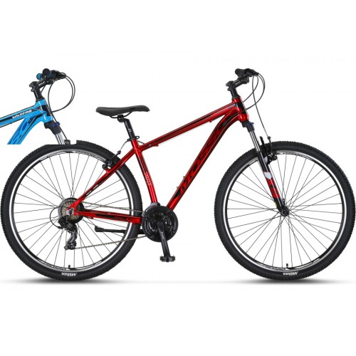 29 WILDFIRE V 29 WILDFIRE V